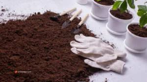 Soil preparation for gardening