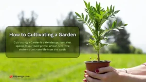 cultivating a garden