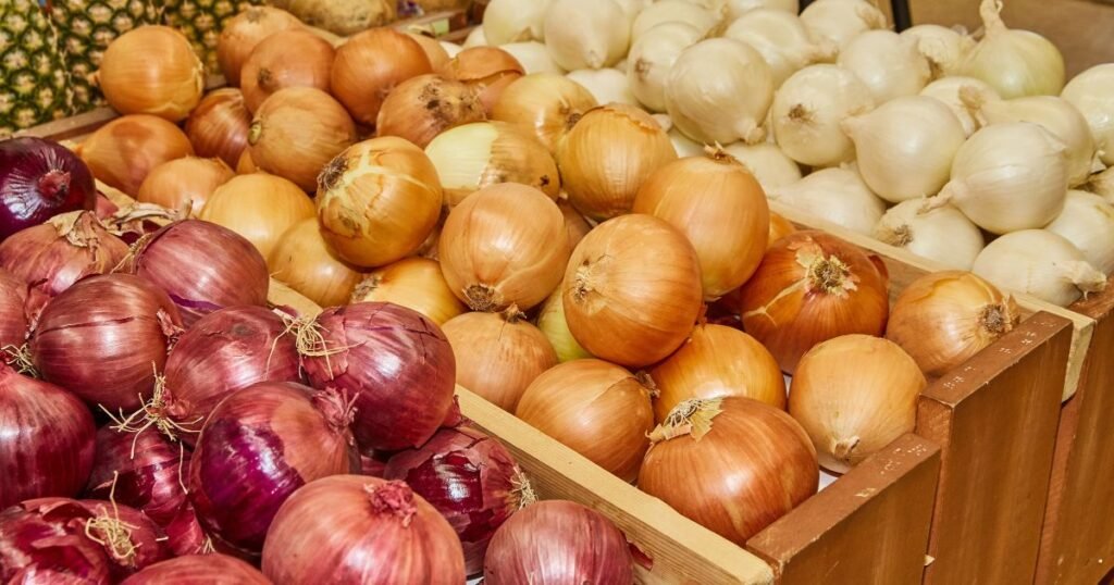 Varieties Of Onion