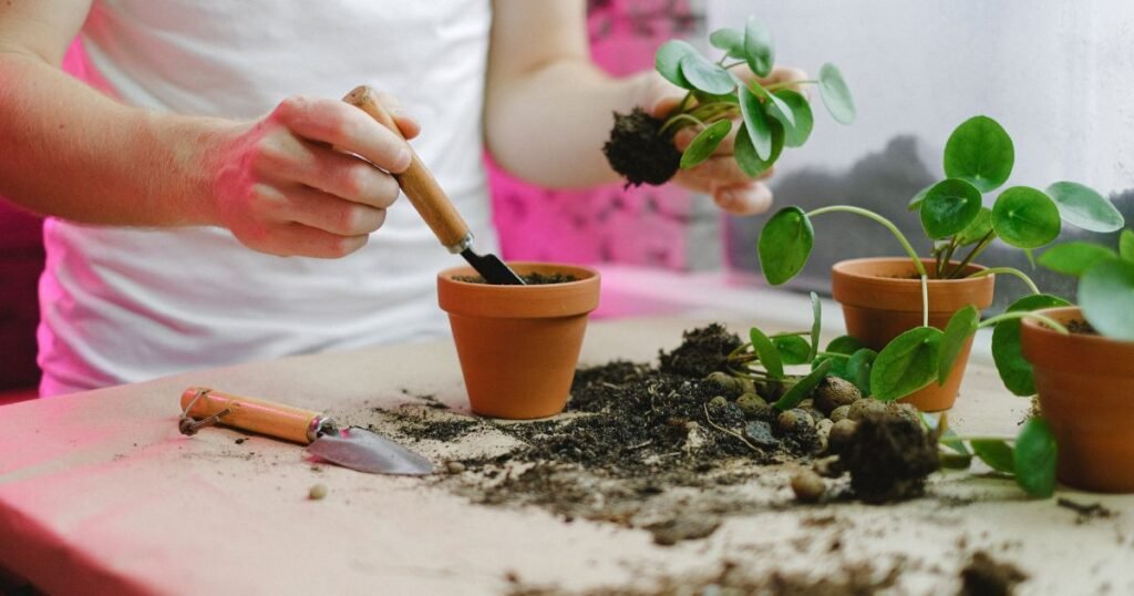 Preparing Soil For Gardening