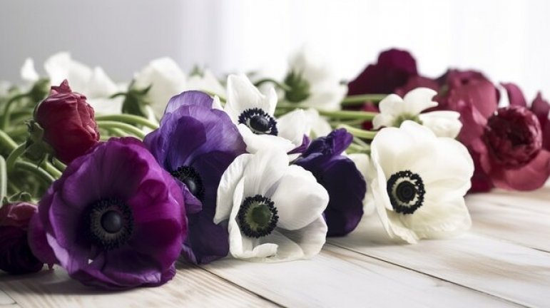 Anemone Style Blooms