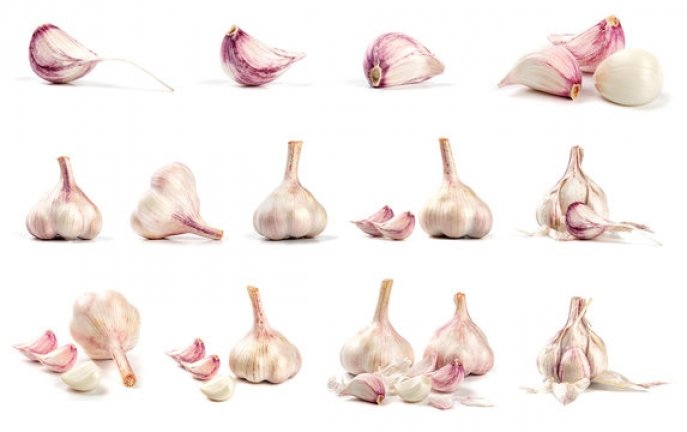 Garlic Bulbils