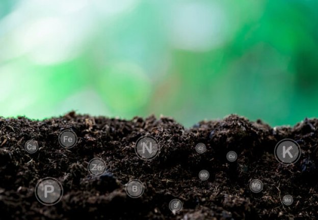 How To Test Nitrogen Of Soil