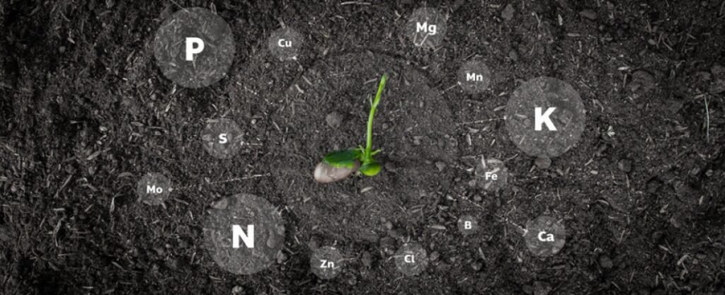 How To Test Nitrogen Of Soil