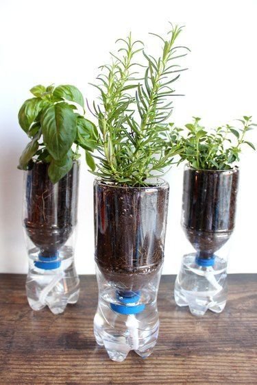 Self-Watering Plastic Pots