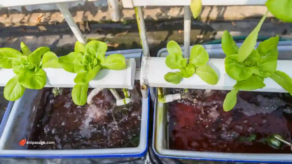 Different Types Of Hydroponic Systems