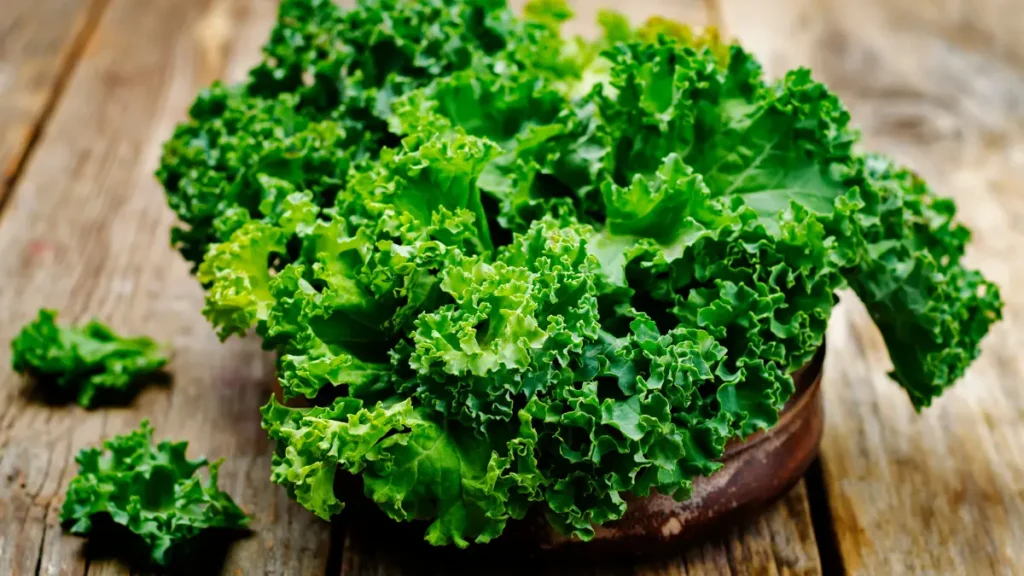 Best Kale Varieties For Cold Climates