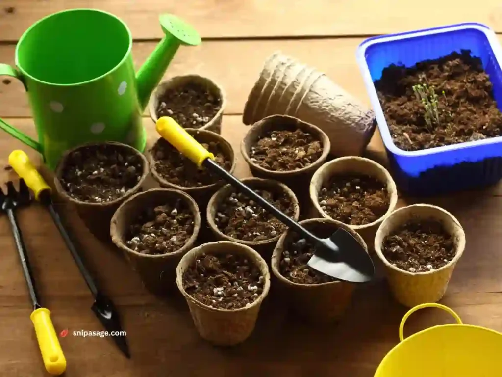 Soil Preparation For Gardening