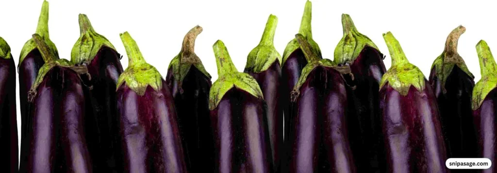 Eggplant-in-winter