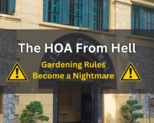 The HOA from hell