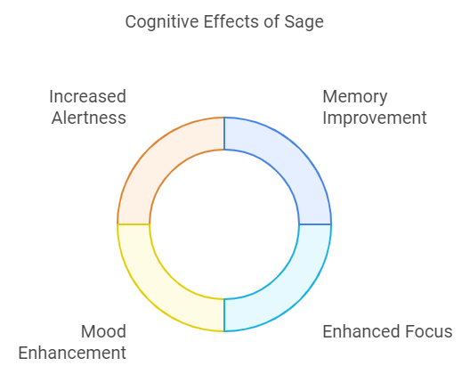 Cognitive Enhancement