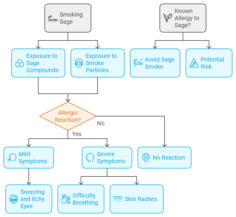 Potential For Allergic Responses To Sage Smoke